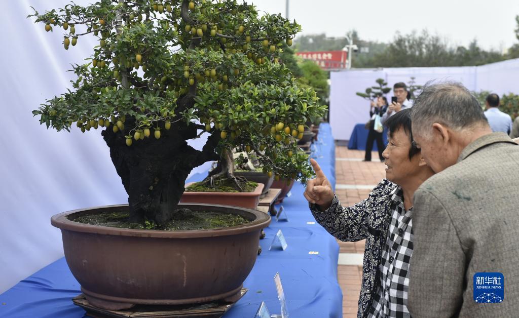 银河网官网